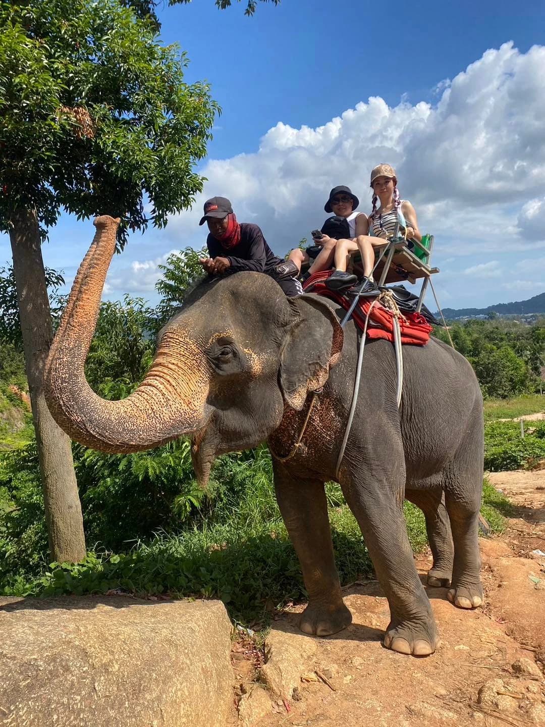 Tourists riding an elephant in a trekking seat on a trail