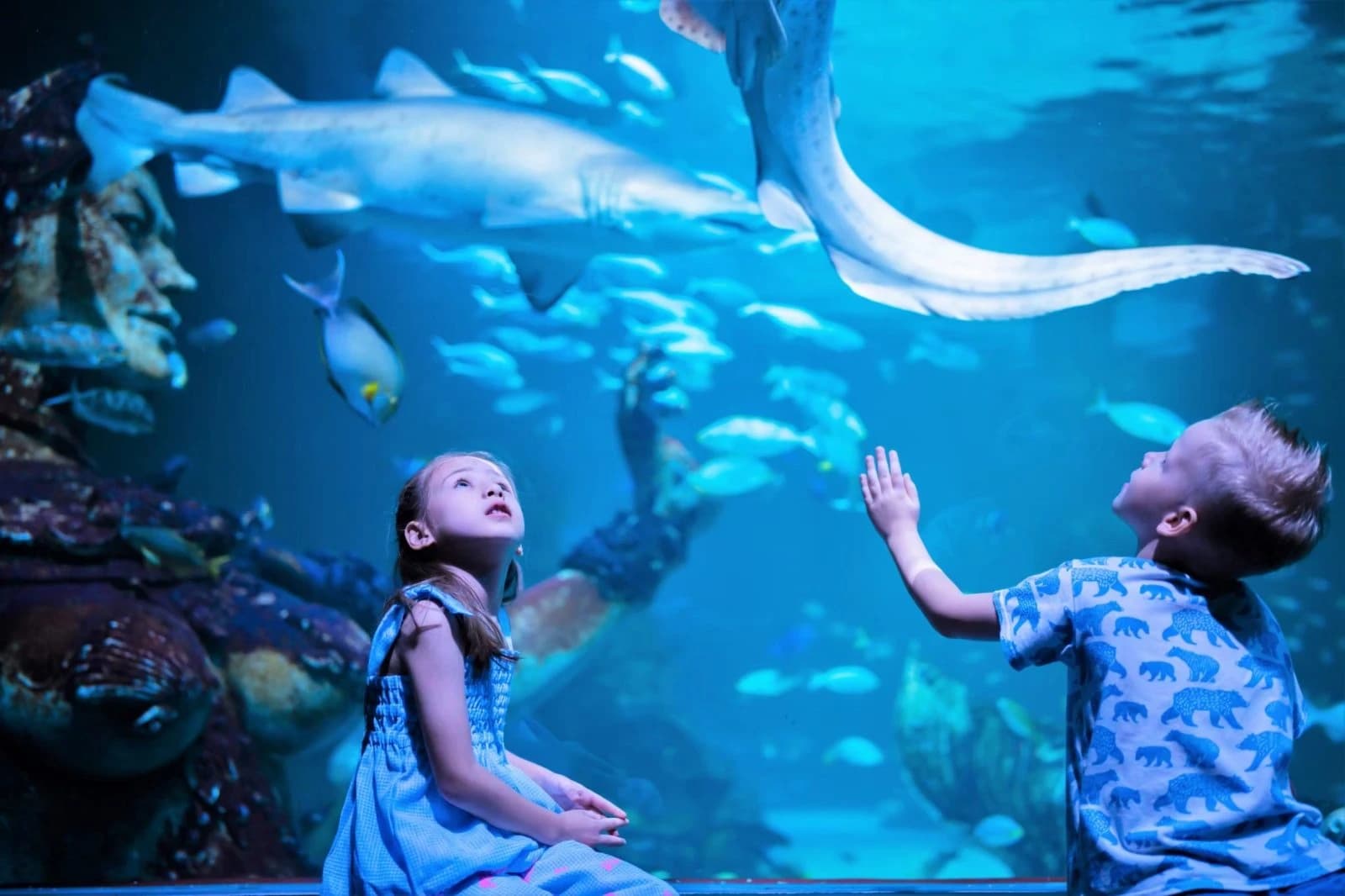 Two children looking up at sharks swimming in an aquarium tank