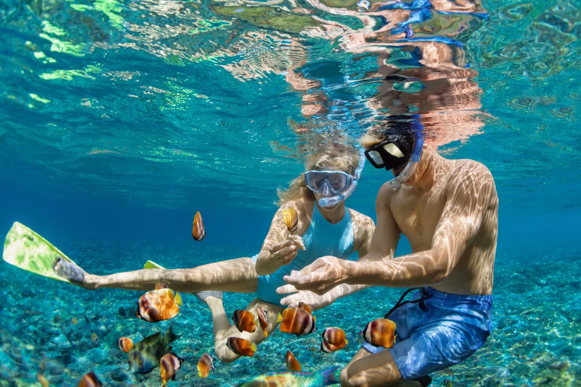 Couple snorkeling underwater with tropical fish in clear blue water